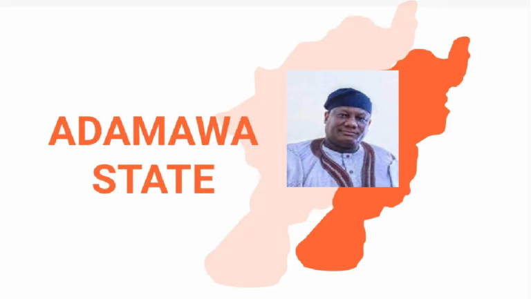 Adamawa Lawmaker from Bororo Removed by Court