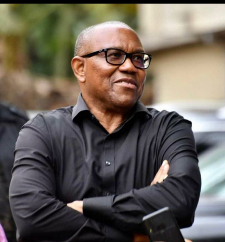 Security agencies, targeting wrong people –  Peter Obi