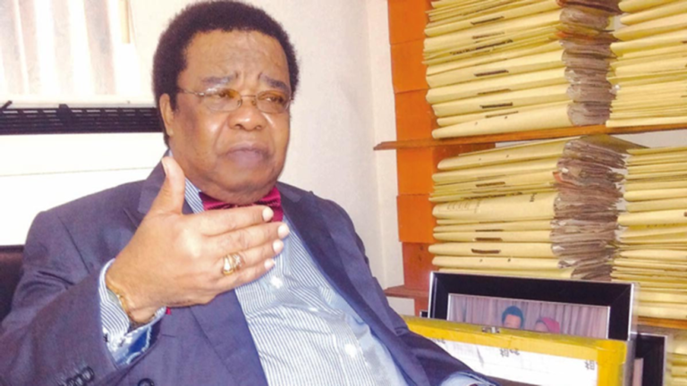 ICC to Prosecute Election Violence’s Perpetrators – Akinyemi