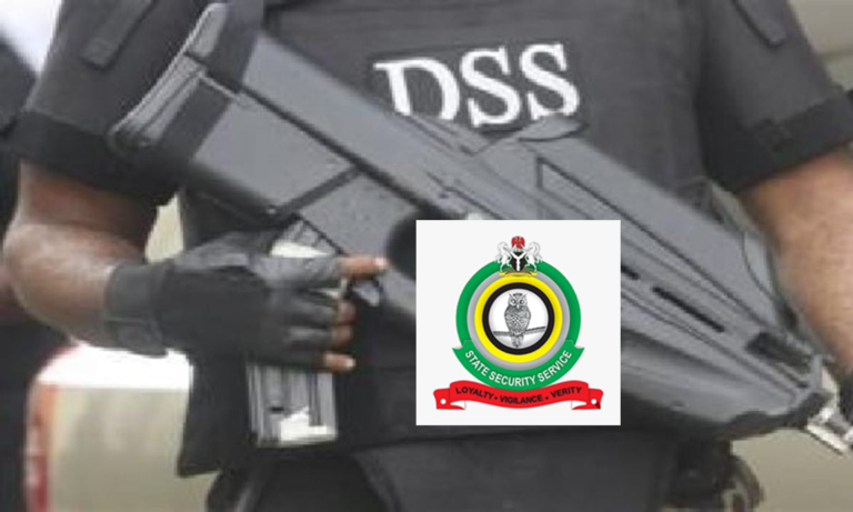 Interim Government: DSS Confirms Plot by Misguided