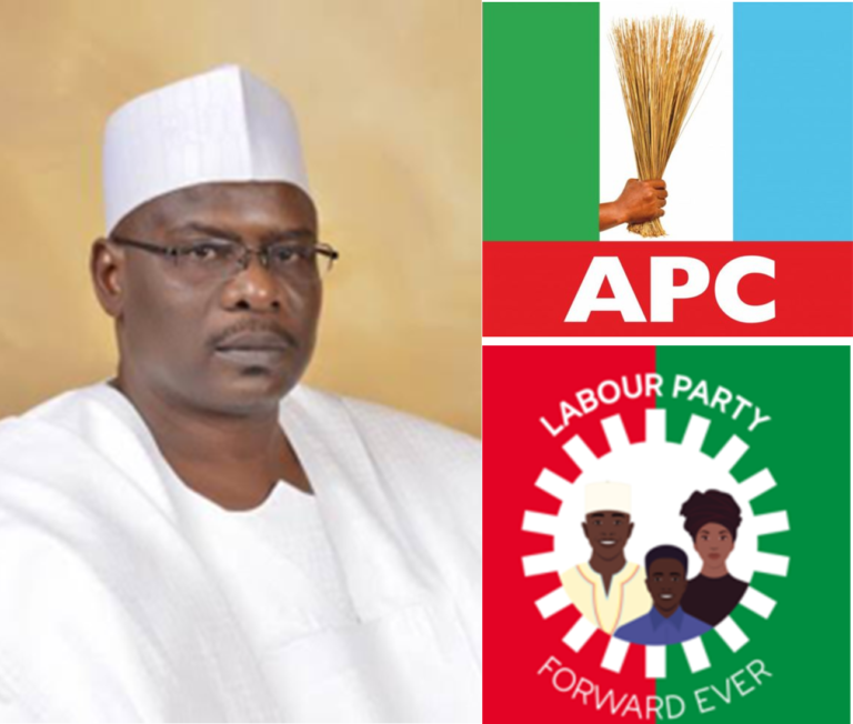 Labour Party’s Performance Surprised Me – Senator Ali Ndume