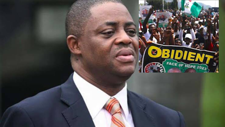 Obidient Movement is Dead – Fani-Kayode