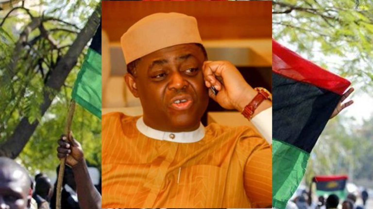 Fani-Kayode Condemns invitation of IPOB to Lagos.