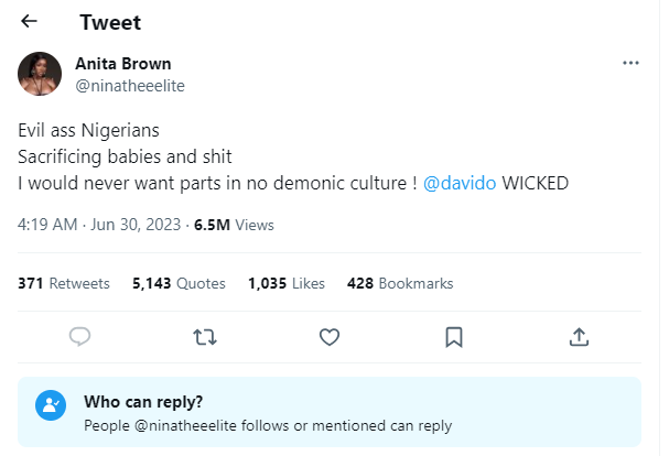 Anita Brown calls Nigerians Evil in her tweet. An alleged baby mama for Davido just tweeted describing Nigerian as evils. 