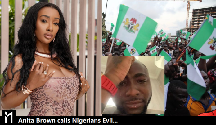 Anita Brown calls Nigerians Evil in her tweet. An alleged baby mama for Davido just tweeted describing Nigerian as evils.