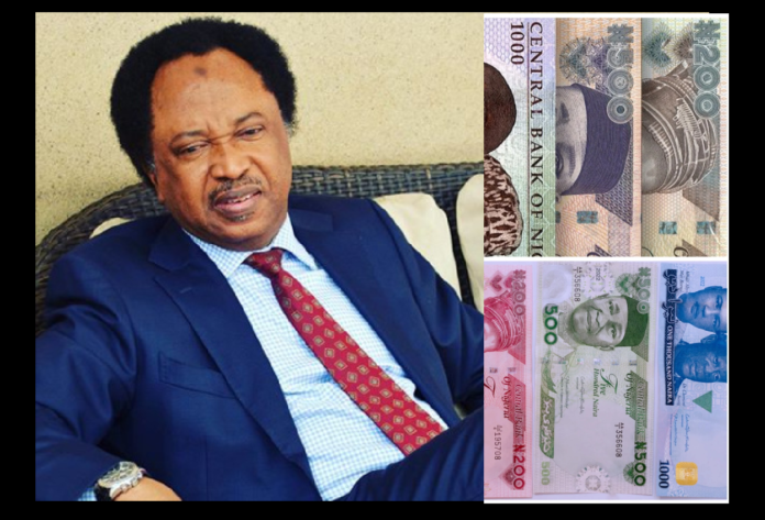 Investigate the Redesign of the Naira, Shehu stated that redesigning the Naira is one of the economic crimes perpetrated in Buhari...